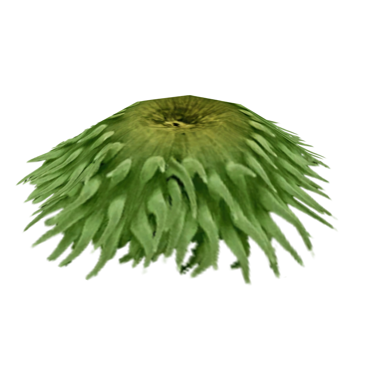 anemone 復刻版 ソマチッド Electric Shock Long Tentacle Anemone