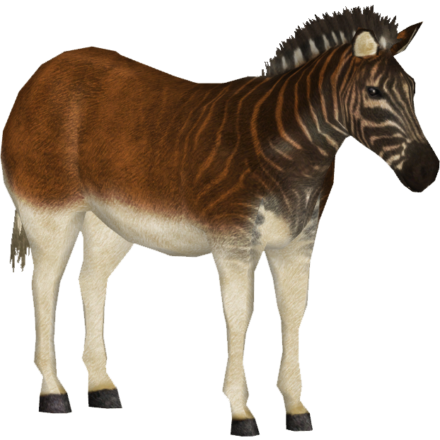 Quagga (Bunyupy & Maximilian) | ZT2 Download Library Wiki