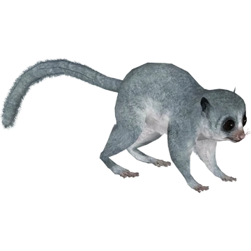 Sheth's Dwarf Lemur (Bunteriro) | ZT2 Download Library Wiki | Fandom