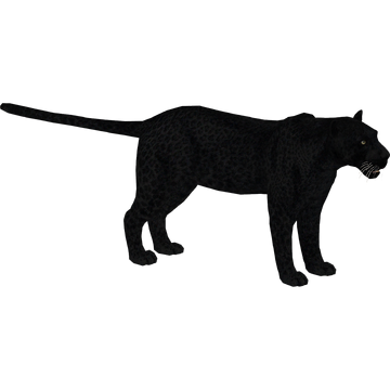 African Leopard (Aurora Designs) | ZT2 Download Library Wiki