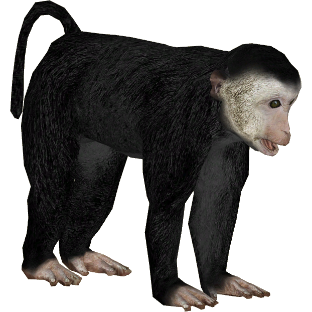 Lion-tailed Macaque (Ulquiorra) | ZT2 Download Library Wiki