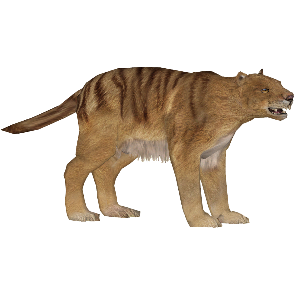 タマゴラス BEAR LION SQUIRREL plain message il_340x270.6294144644_ned3.jpg