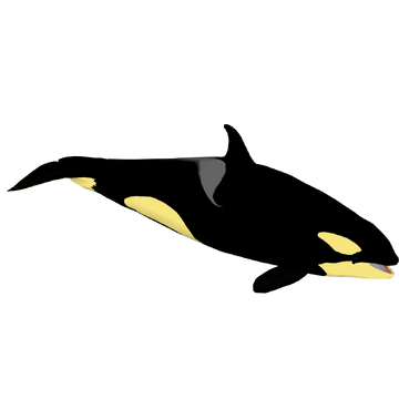 North Atlantic Type 1 Orca (ObsidianAngst) | ZT2 Download Library 