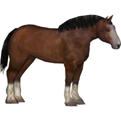 Category:Horse Pack (Tamara Henson) | ZT2 Download Library Wiki