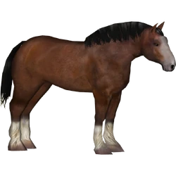 Category:Horse Pack (Tamara Henson) | ZT2 Download Library Wiki