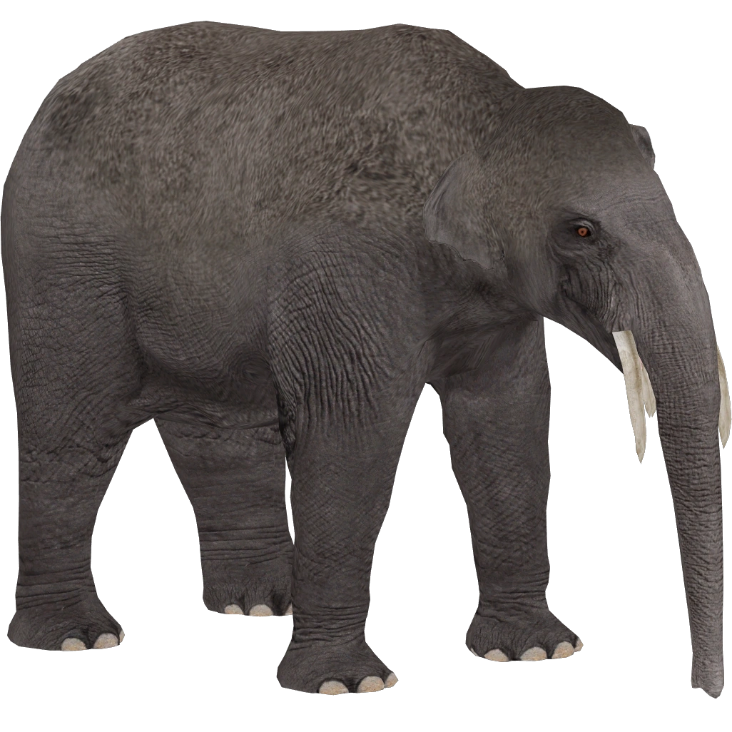 Eozygodon (Demon Hunter) | ZT2 Download Library Wiki | Fandom