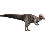 Pachycephalosaurus (Zoo Tycoon 2 Thailand)