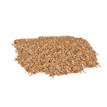 Seeds (ZTABC Team)