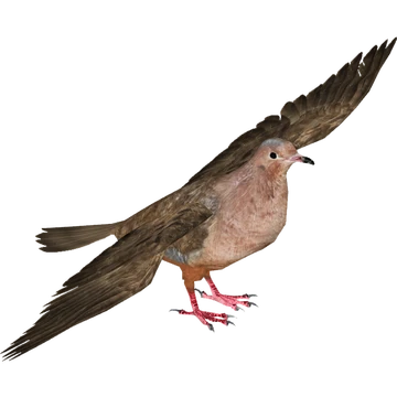 360?cb=20150319181543