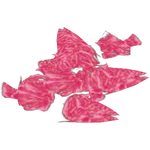 Terrain Shrimp (Mjmannella)