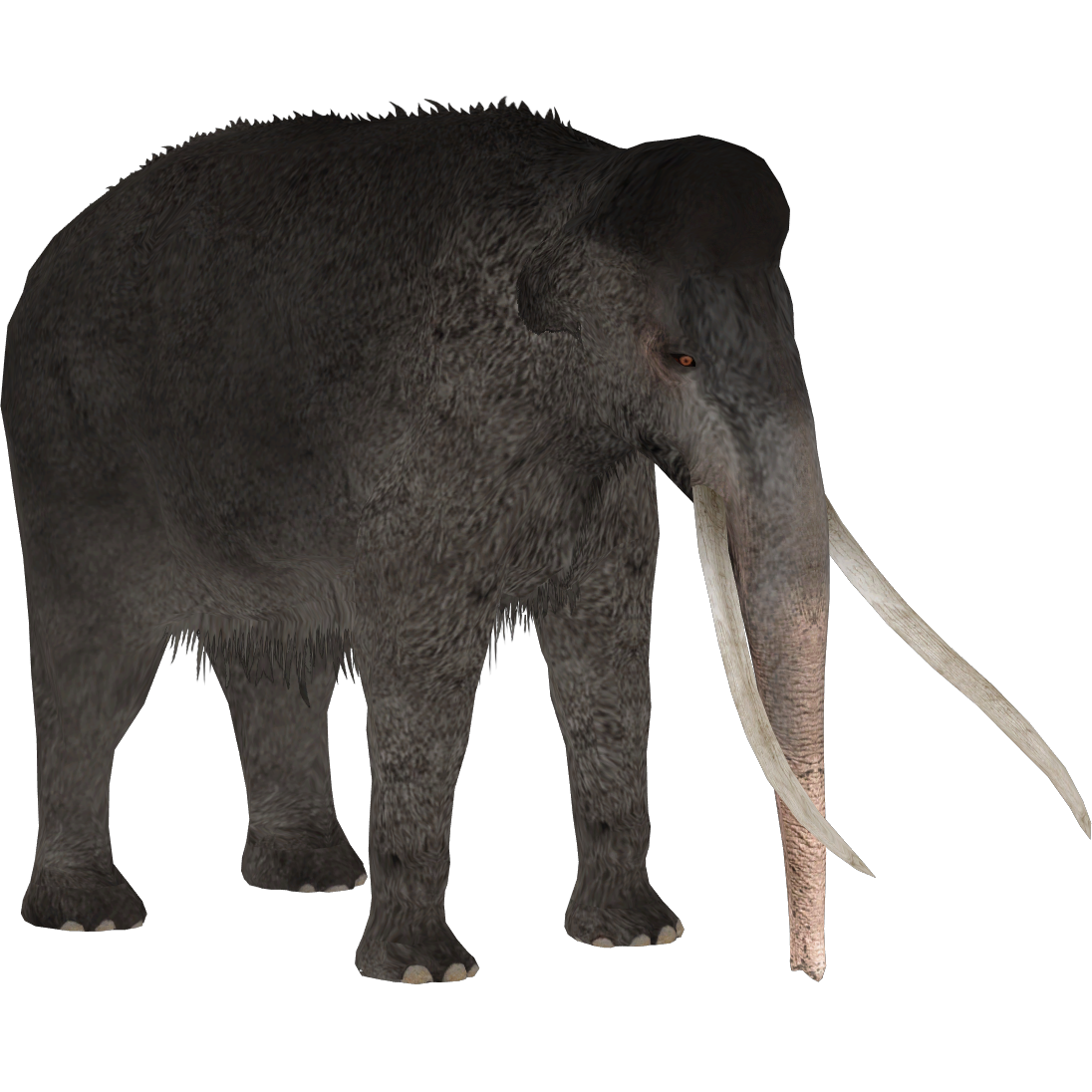 Asian Straight-tusked Elephant (Demon Hunter) | ZT2 Download Library