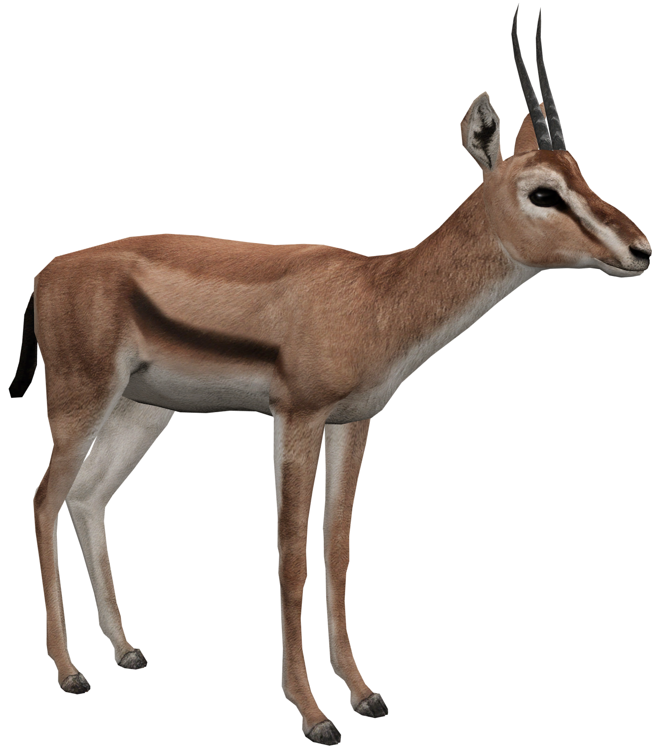 niece helt seriøst Myrde Red-fronted Gazelle (Tycoonfan) | ZT2 Download Library Wiki | Fandom