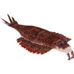 Anomalocaris (Bunyupy)