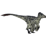 Dromaeosaurus (HENDRIX)