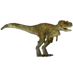 Gorgosaurus (lordofworms & Zooa)