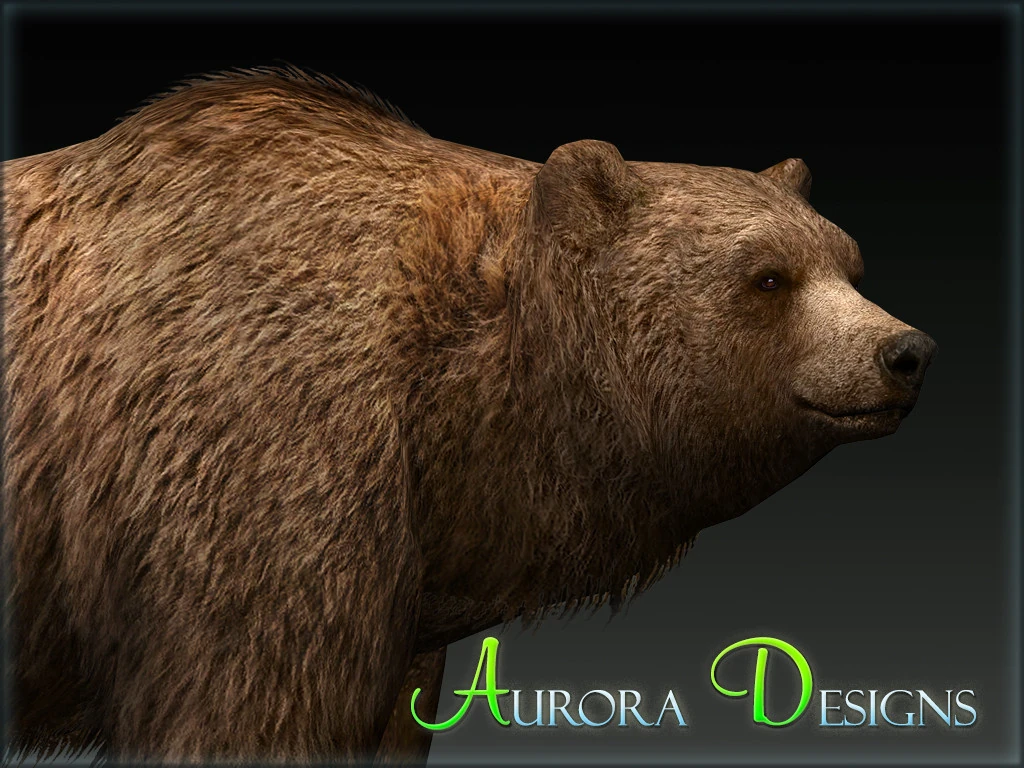 暗黒エンターテイメント　The BEAR 11月2日(木)18時より抽選開始】【暗黒エンターテイメント】The bear