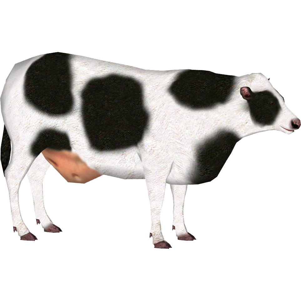 リクエスト出品(cow) Live Auction Cows – CHRISTUS Children's Foundation