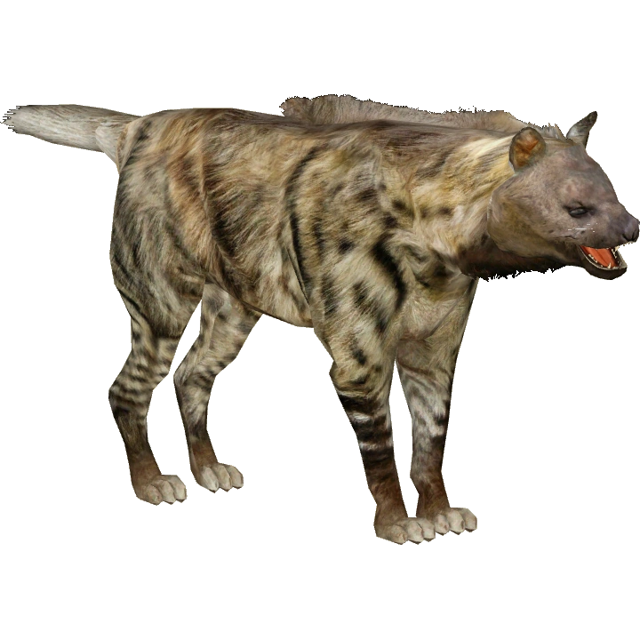 Giant Short-faced Hyena (Lazardi) | ZT2 Download Library Wiki | Fandom