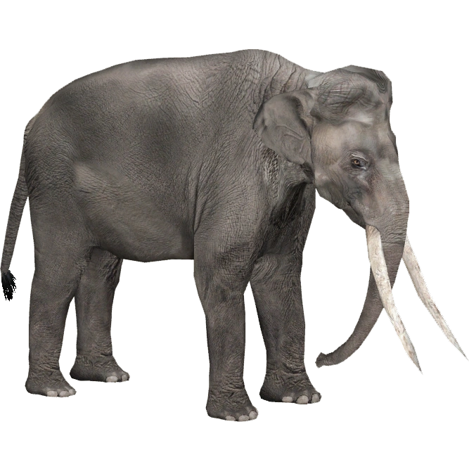 Reck's Elephant (Lazardi) | ZT2 Download Library Wiki | Fandom
