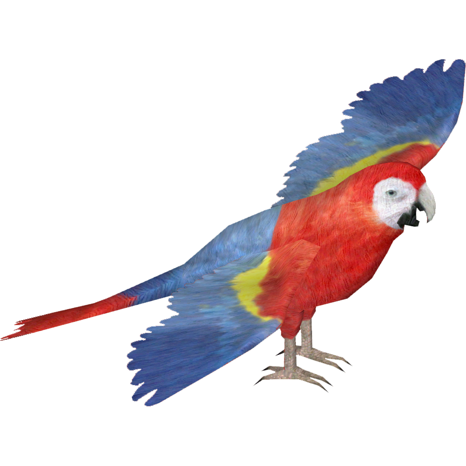 Scarlet Macaw (Isola-Designs) | ZT2 Download Library Wiki | Fandom