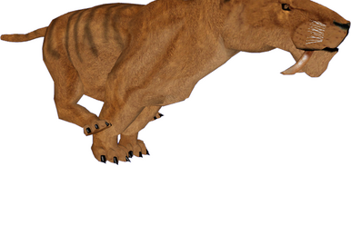 American Cheetah (Dinosaur & Tamara Henson), ZT2 Download Library Wiki