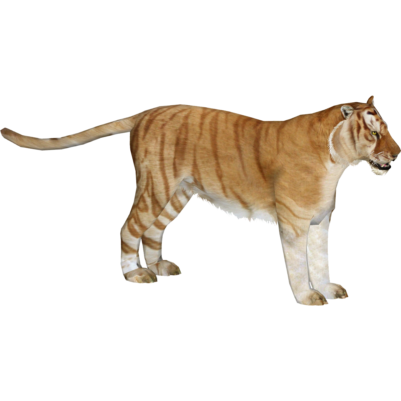 Bengal Tiger (Aurora Designs) | ZT2 Download Library Wiki | Fandom