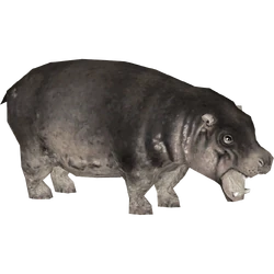 Category:Hexaprotodon Pack (Purple Hippo) | ZT2 Download Library