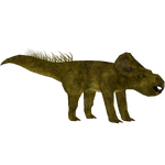 Protoceratops (Tyranachu)