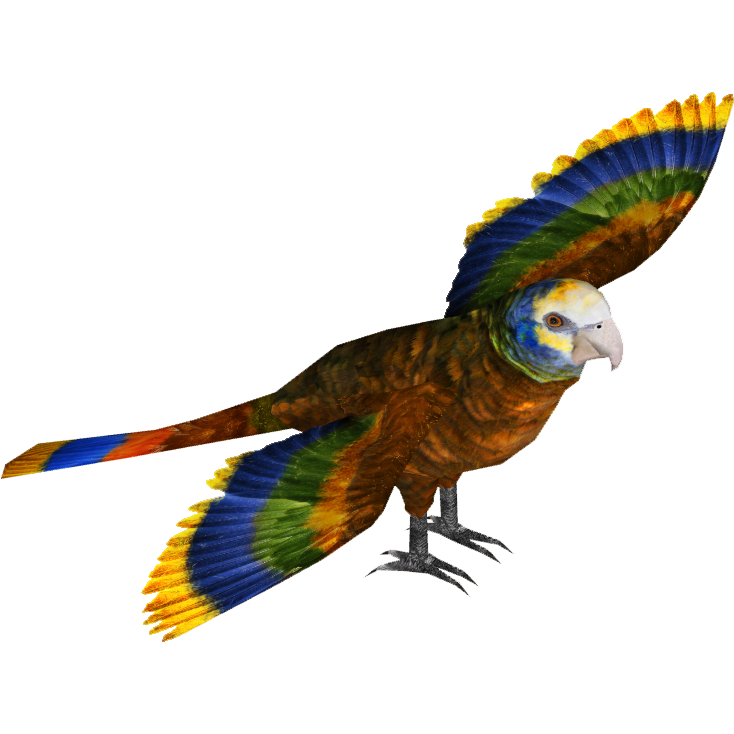 希少 The Parrots Die Papageien 鳥 コレクター 画集 希少 The Parrots Die Papageien 鳥 コレクター 画集