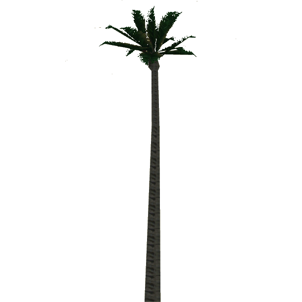 wax palm tree