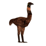 Giant Moa (Tyranachu)