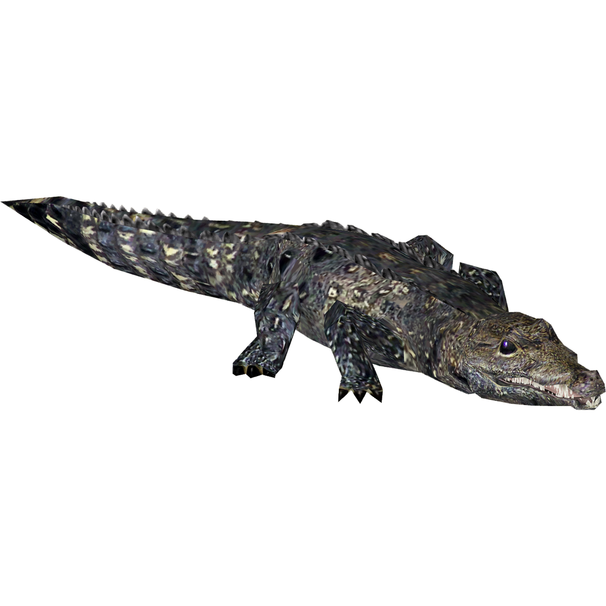 West African Dwarf Crocodile (Koala Komander) | ZT2 Download