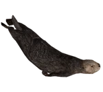 Sea Otter (Aurora Designs) (11 KB) Sea Otter (Aurora Designs)