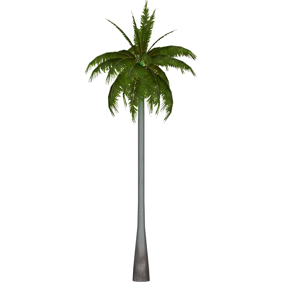 Royal palm – PlantCatalog by e-on software