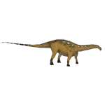 Apatosaurus (Bunyupy & Wrangler97)