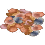 Terrain Clams (Mjmannella)