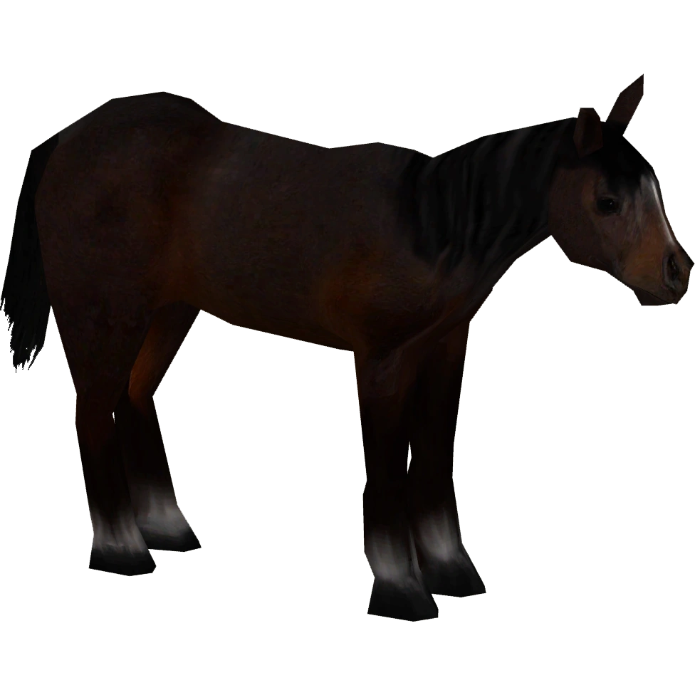 Arabian Horse (Artifex) | ZT2 Download Library Wiki | Fandom