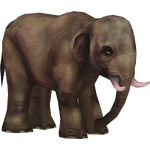 Chinese Elephant (Elephantium Creators Realm)