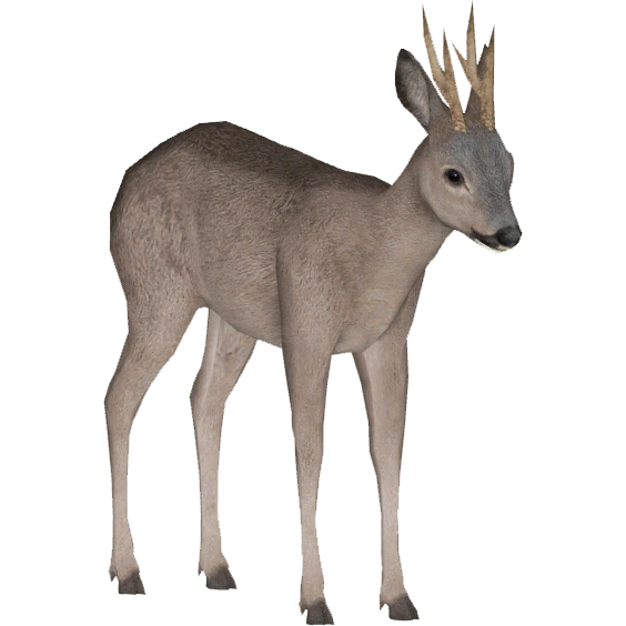 Siberian Roe Deer (Tamara Henson) | ZT2 Download Library Wiki | Fandom