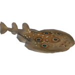 Common Torpedo (Zerosvalmont)