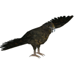 Giant Parrot (Demon Hunter)