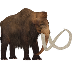 Woolly Mammoth (Tyranachu)