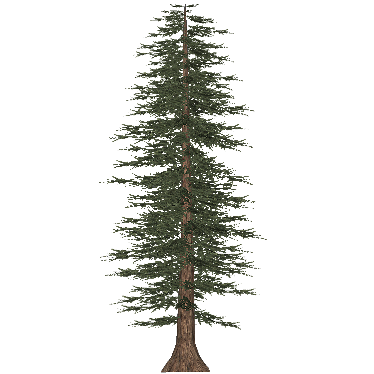 Jeffrey Pine (JimmyzHoopz) | ZT2 Download Library Wiki | Fandom Jeffrey Pine (JimmyzHoopz) | ZT2 Download Library Wiki | Fandom