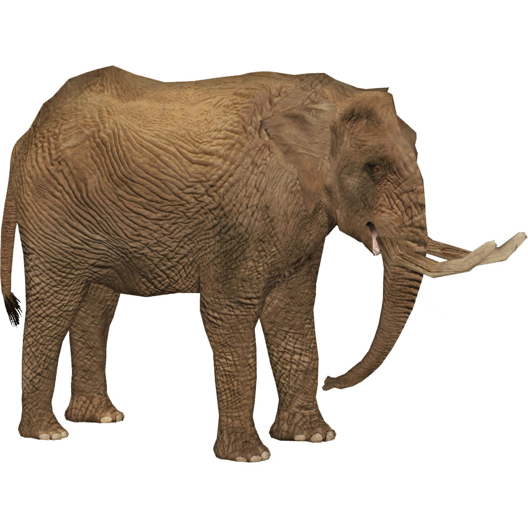 African Desert Elephant (Tamara Henson) | ZT2 Download Library