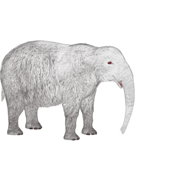 トムソン　mastodon Rare Mastodons On Parade IPFW 113 Of 500 Matthew Kubik 2005