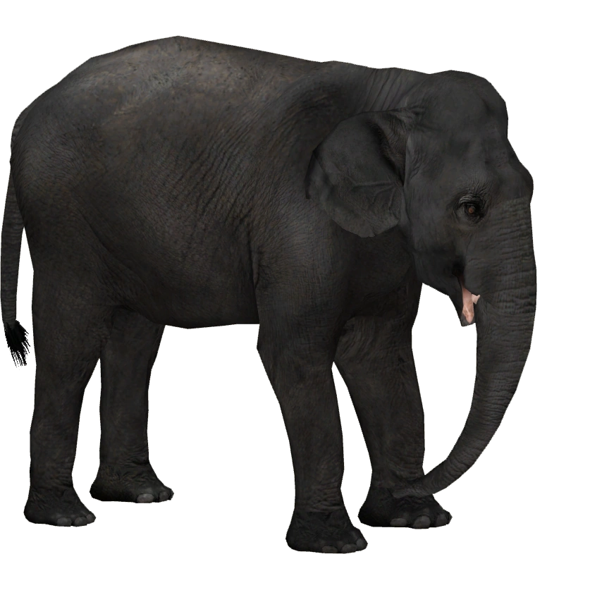 Chinese Elephant (Tamara Henson) | ZT2 Download Library Wiki | Fandom