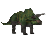 Coahuilaceratops (Bunyupy)