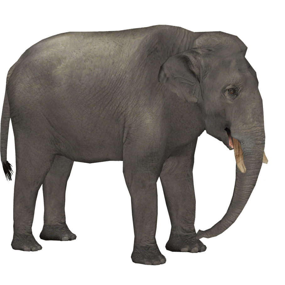 Dwarf Cypriot Elephant Tamara Henson Zt2 Download Library Wiki Fandom