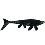 Mosasaurus (Rex & Ultamateterex2)