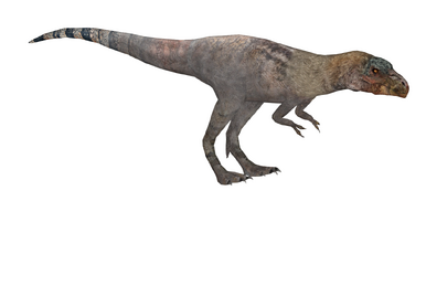 Sinosauropteryx (16529950) | ZT2 Download Library Wiki | Fandom